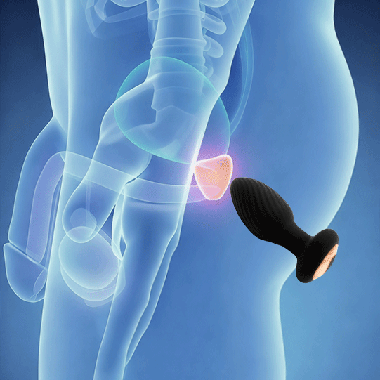 Spin Rotating Anal Plug