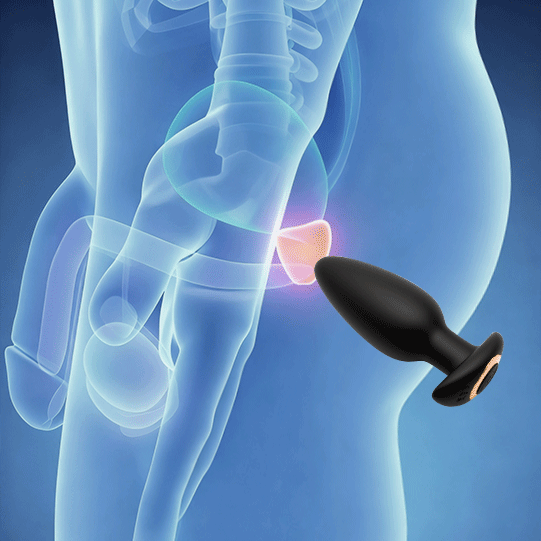 Max Anal Plug
