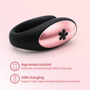 Harmonix Couples Vibe