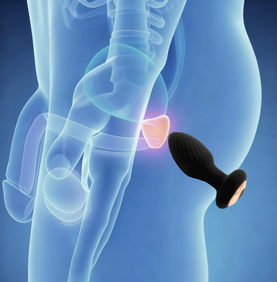 The Spin Rotating Anal Plug with Remote Control