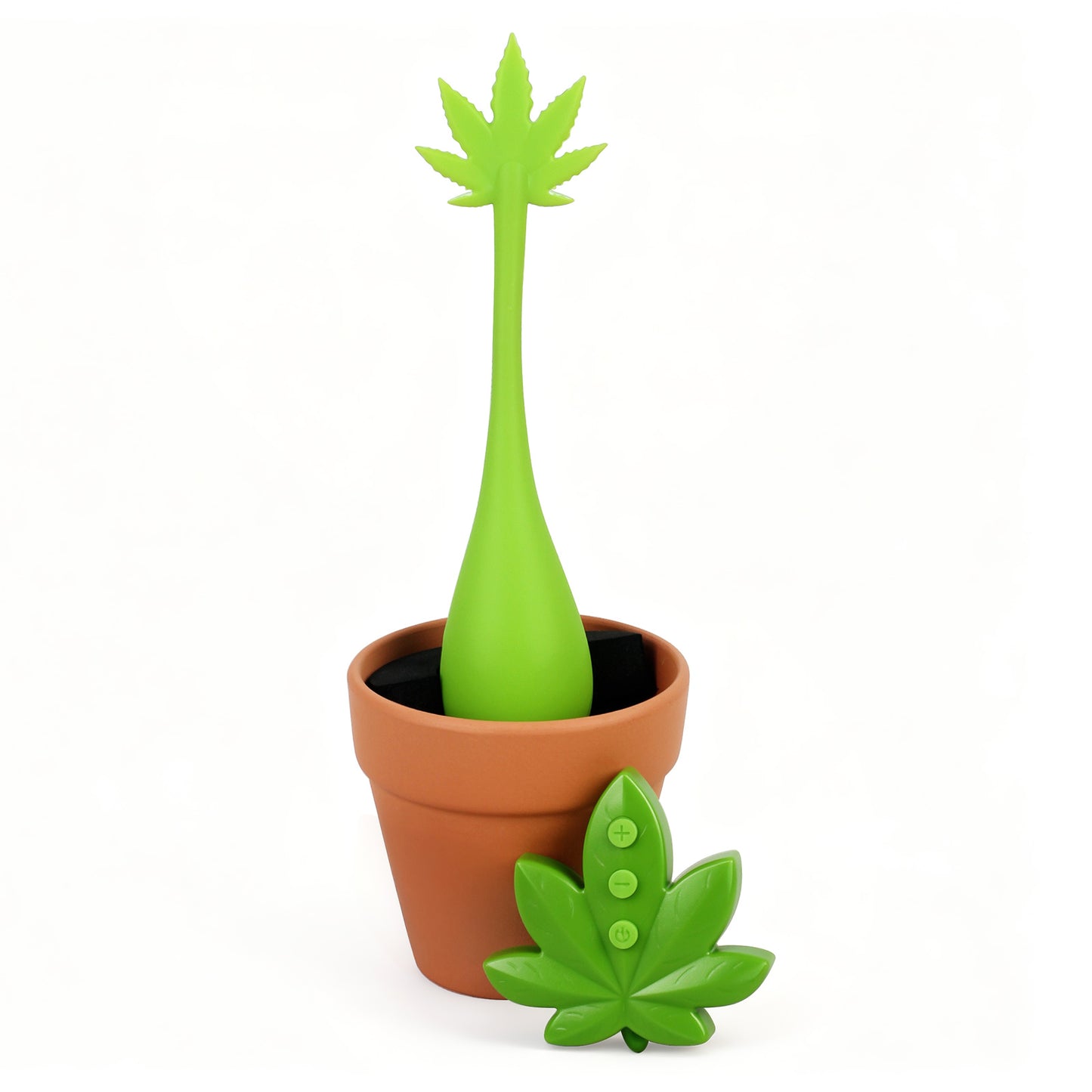 Sexy Pot Remote Egg Vibrator with Remote Control wesellsextoys