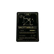 Sagittarius Mini Vibe